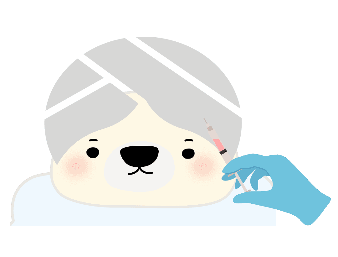 麻酔・施術